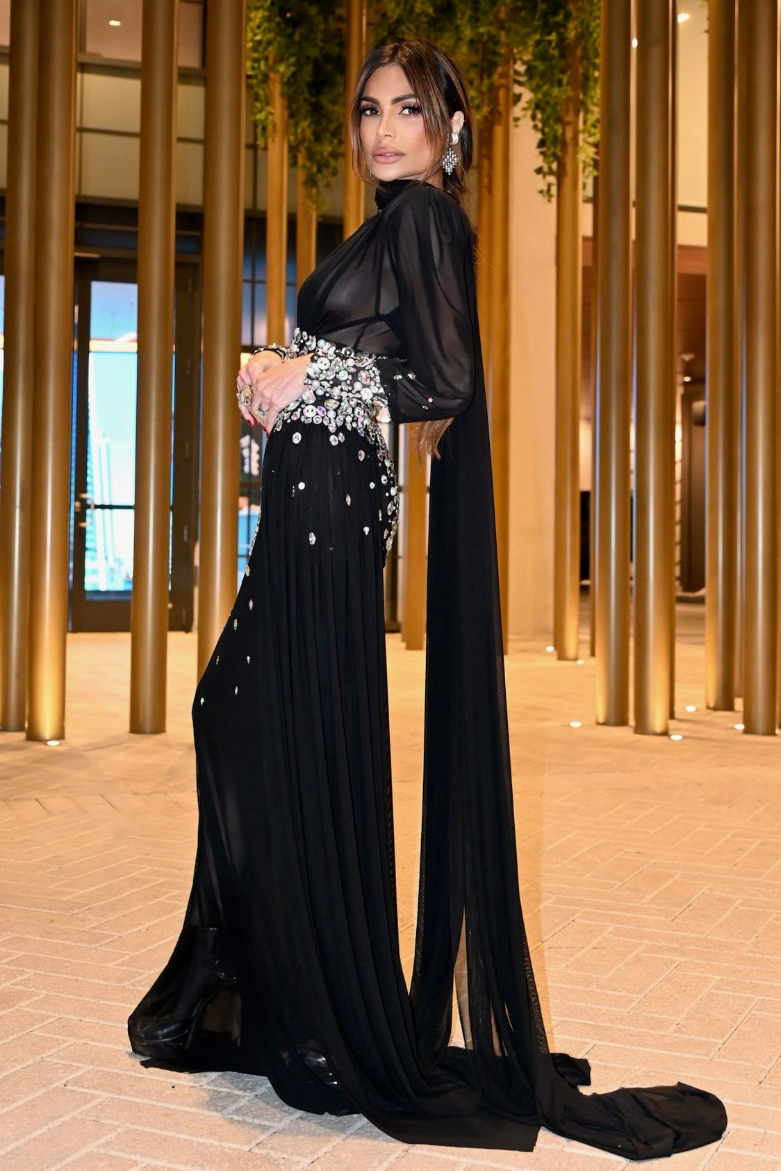 The Noir Crystal See-Through Gown