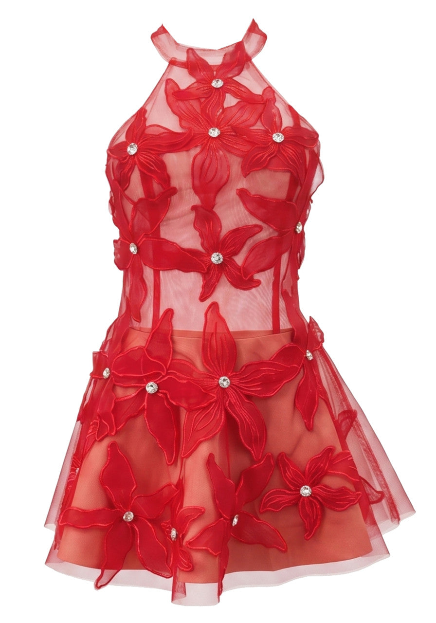 Halter Floral Embroidered A Line Dress Red