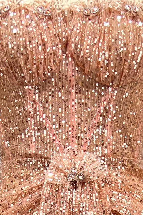 Strapless Bustier Sequin Maxi Dress Coral Pink