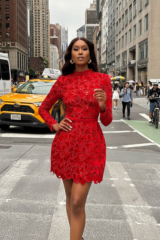 Long Sleeve Zipper Lace Dress