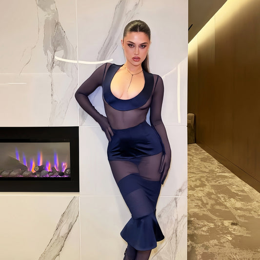 Low Collar Long Sleeves Slim Fit Sexy See through Mesh Cinched Sheath Dress