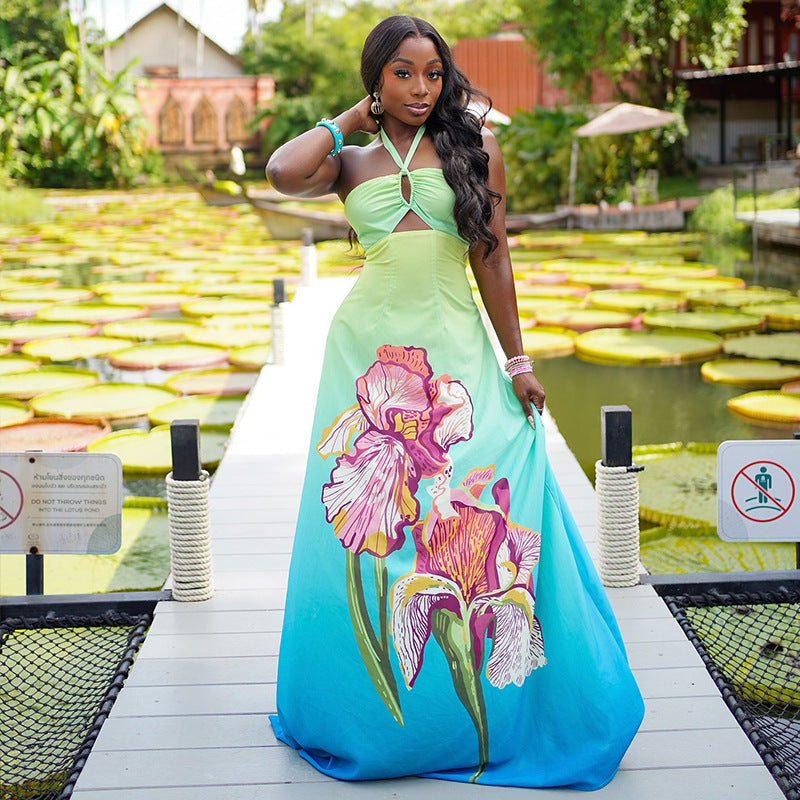 Fresh Gradient Printed Pattern Waist A line Dress Halter Cut out Maxi Dress